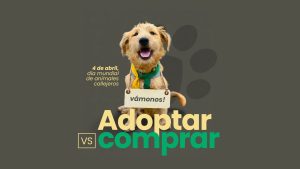 Adoptar vs comprar, consulta veterinaria CDMX