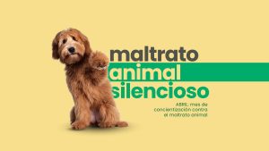 Maltrato animal silencioso, consulta veterinaria CDMX